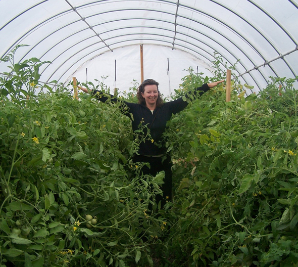 Lattin Farms Tomato Hoophouse