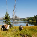 Lake Tahoe